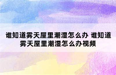 谁知道雾天屋里潮湿怎么办 谁知道雾天屋里潮湿怎么办视频